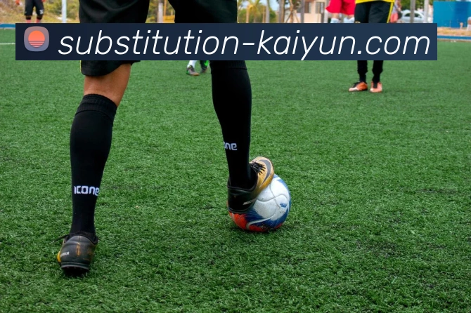 开云官网全站App